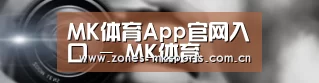 公司动态