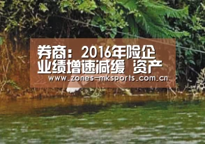MK体育App官网入口 