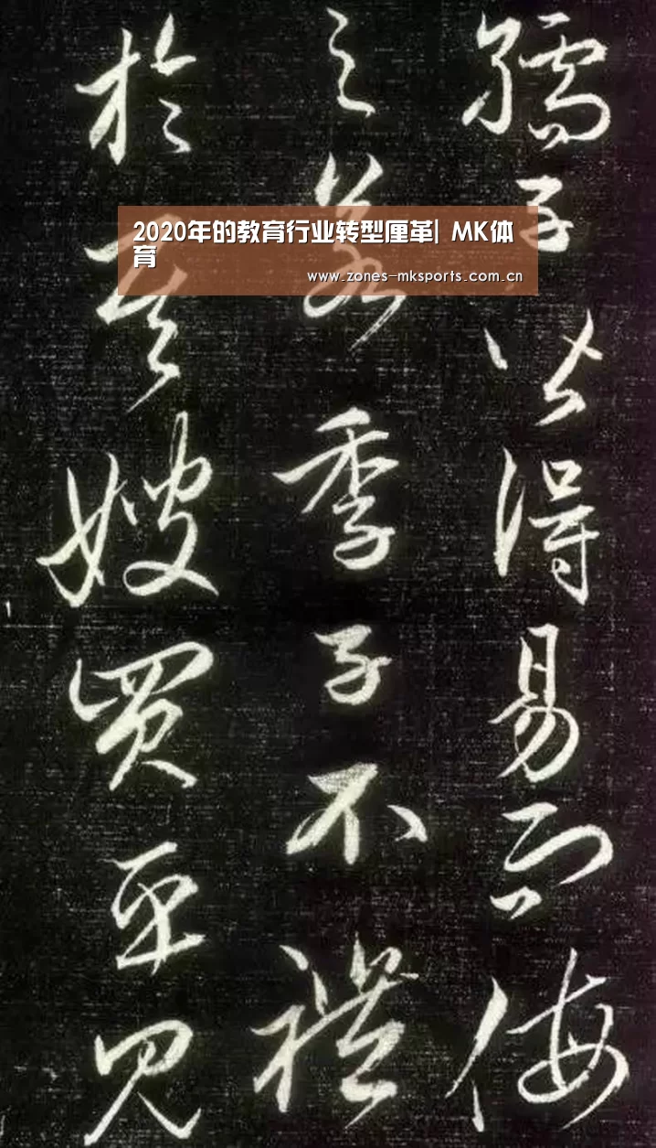 2020年的教育行业转型厘革| MK体育(图1) MK体育