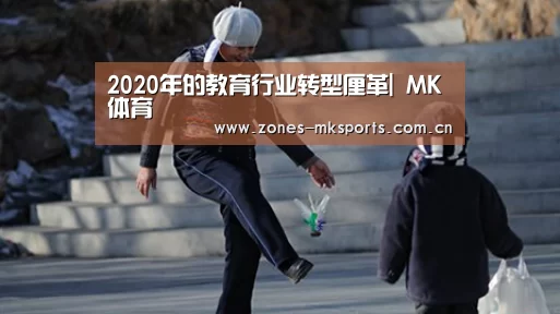 2020年的教育行业转型厘革| MK体育(图3) MK体育