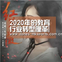 2020年的教育行业转型厘革| MK体育(图4) MK体育App官网入口