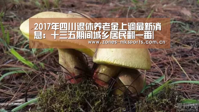 MK体育App官网入口 