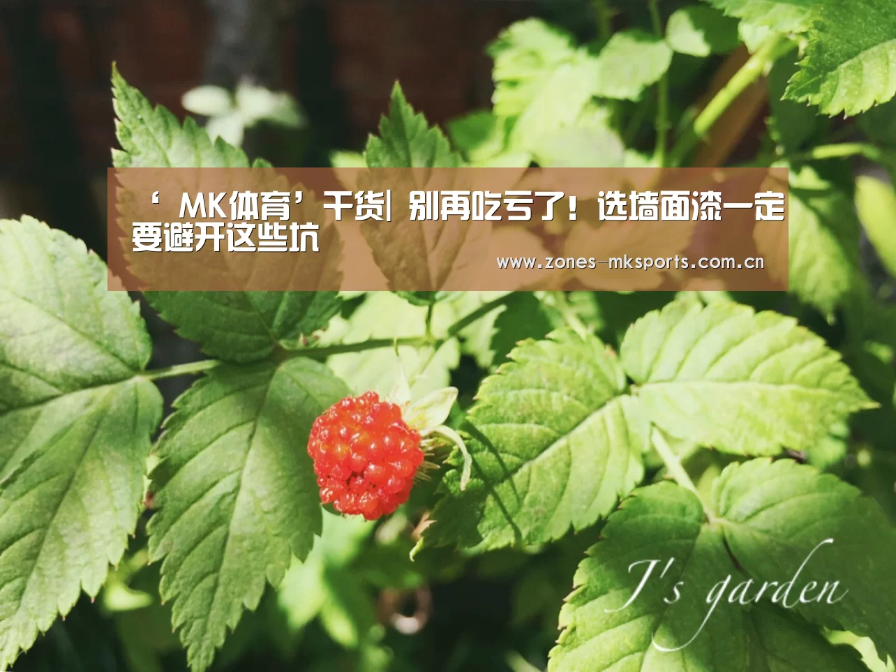 ‘ MK体育’干货| 别再吃亏了!选墙面漆一定要避开这些坑(图4) MK体育