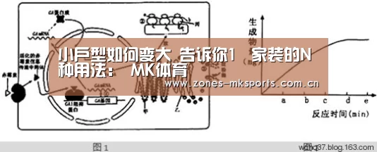 小户型如何变大 告诉你1㎡家装的N种用法: MK体育(图2) MK体育App官网入口