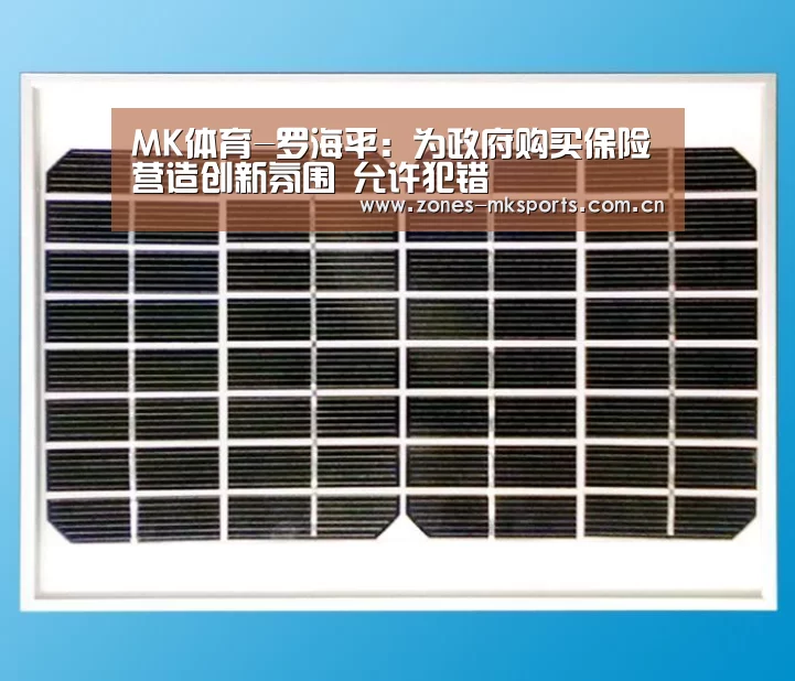 MK体育-罗海平:为政府购买保险营造创新氛围 允许犯错(图3) MK体育App官网入口